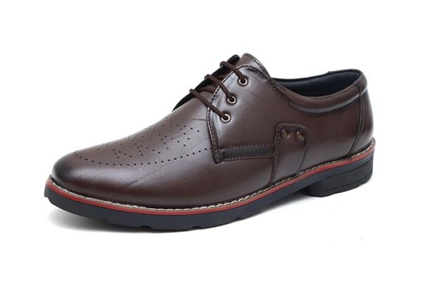 ARAMISH Men's Genuine Leather Lace Up Office Formal Shoes